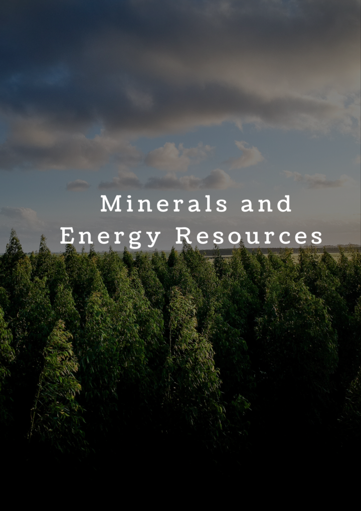 Minerals And Energy Resources (Class 10th :- Notes)