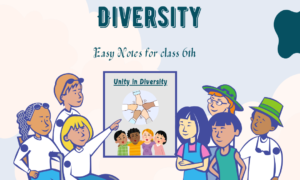 'Understanding Diversity' for Class 6, exploring the importance of cultural, religious, and linguistic diversity in India and how it contributes to the richness of the country.